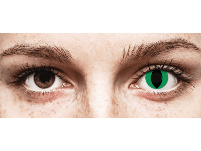 CRAZY LENS - Cat Eye Green - Ημερήσιοι φακοί Μη διοπτρικοί (2 φακοί)